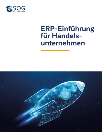 Cover Whitepaper ERP-Einführung